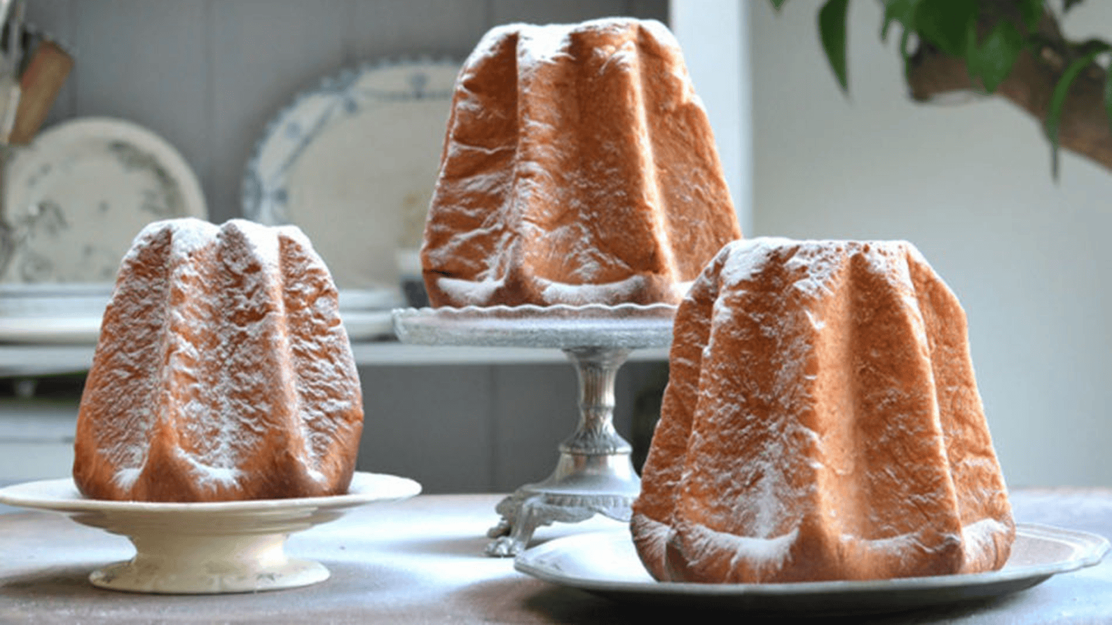 Pandoro Cake an Italian Christmas Tradition