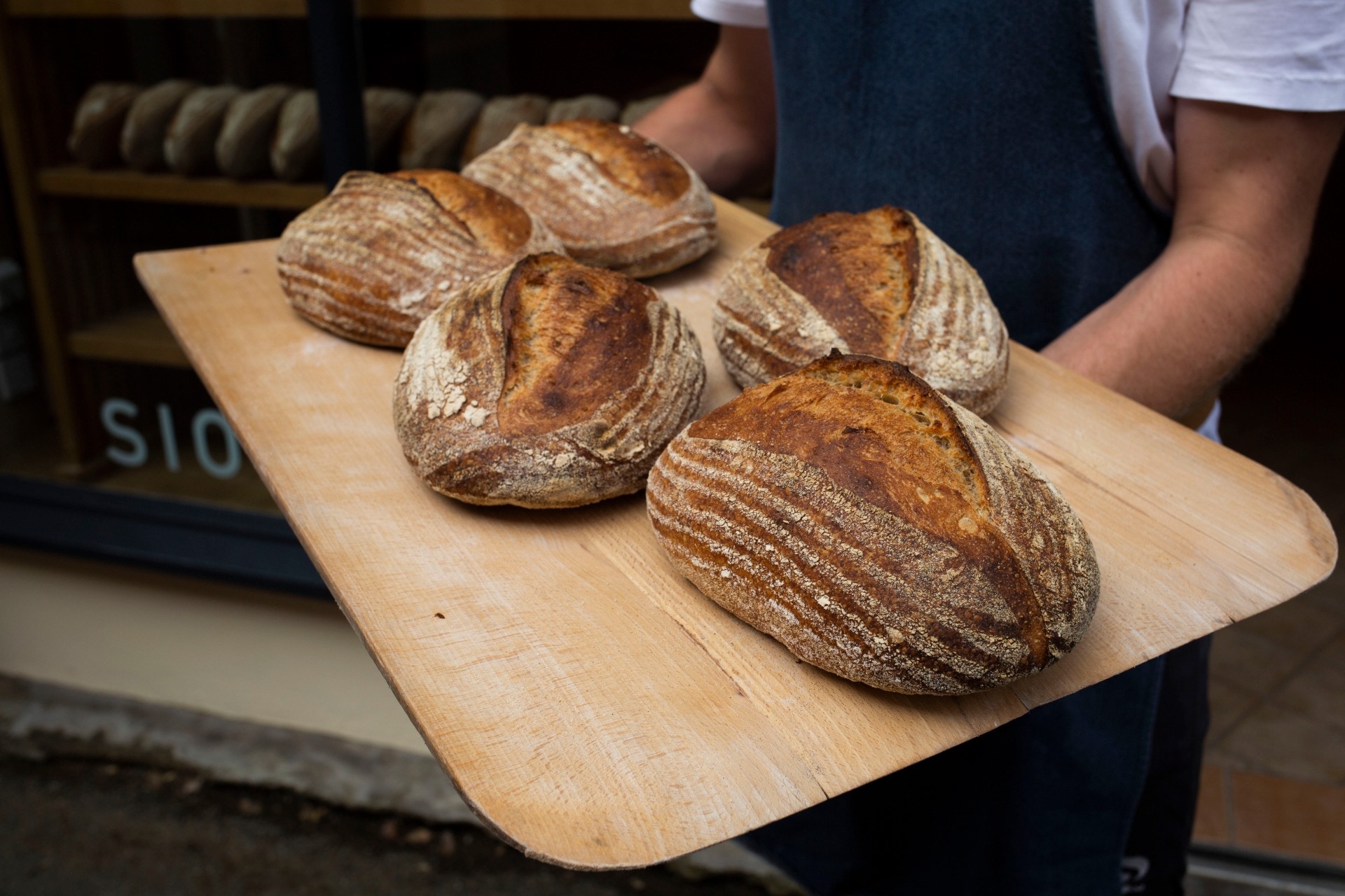 Freshly baked sourdough from Bara Menyn